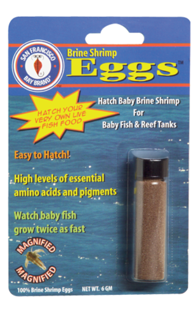 betta food, brine shrimp eggs