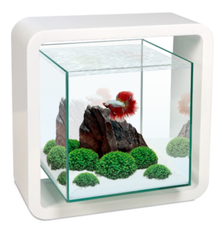 Aquarios Ciano Decor Betta Life 5C Branco