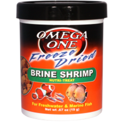 brine shrimp