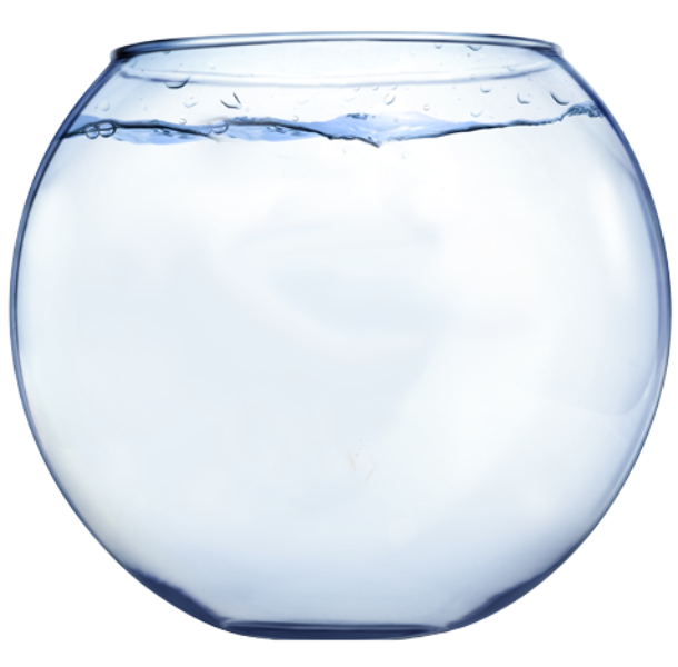 empty fish bowl